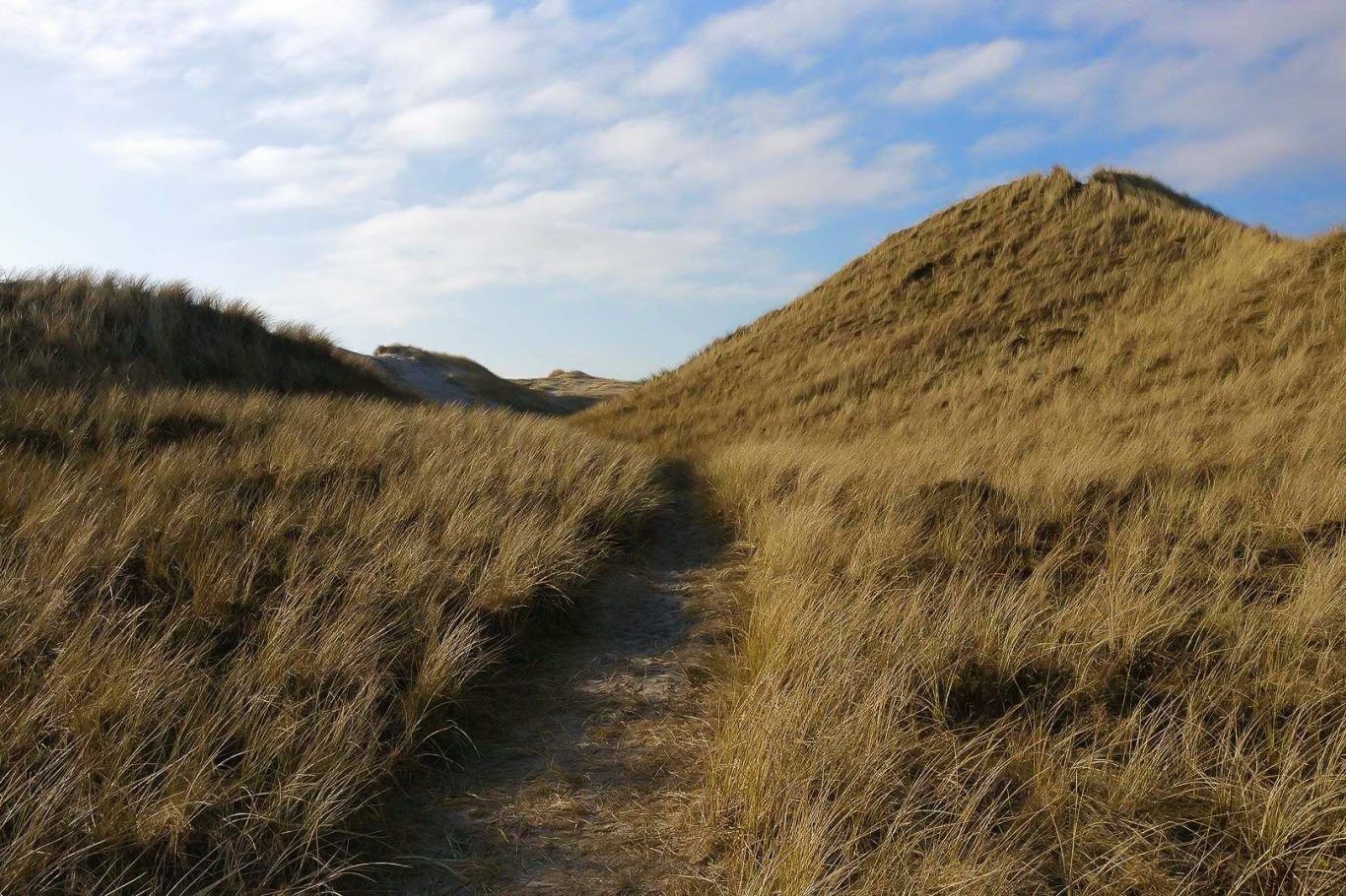 Wanderweg zwischen sandigen Dünen unter einem bewölkten Himmel.
